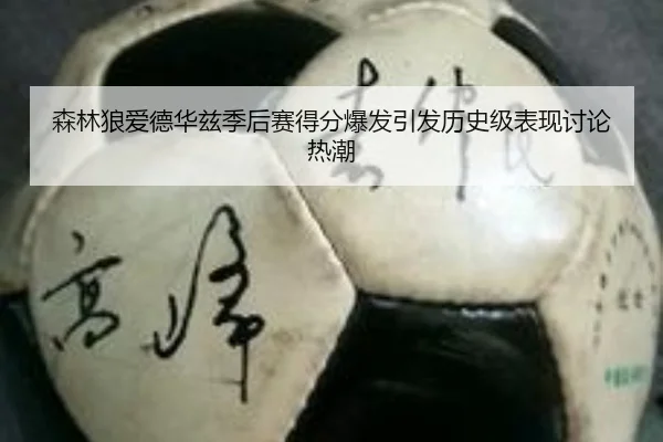 森林狼爱德华兹季后赛得分爆发引发历史级表现讨论热潮